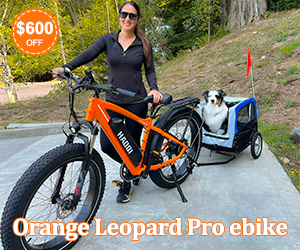 HAOQI Orange Leopard Pro Electric Bicycle